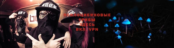 твердый Коряжма