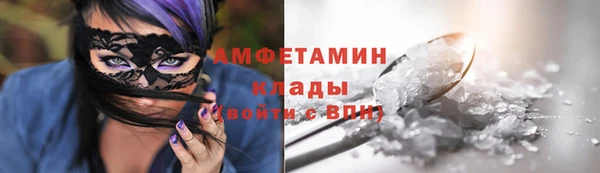 молекула духа Костерёво