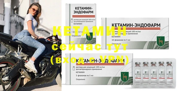 твердый Коряжма