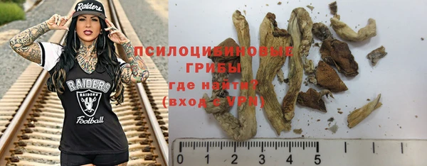 молекула духа Костерёво