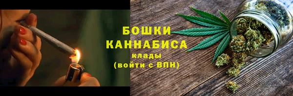 молекула духа Костерёво