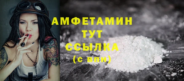 молекула духа Костерёво