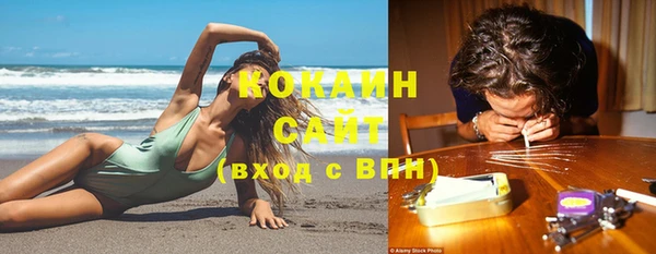 твердый Коряжма