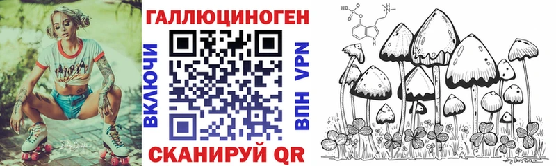 omg ONION  Маркс  Галлюциногенные грибы Psilocybine cubensis 