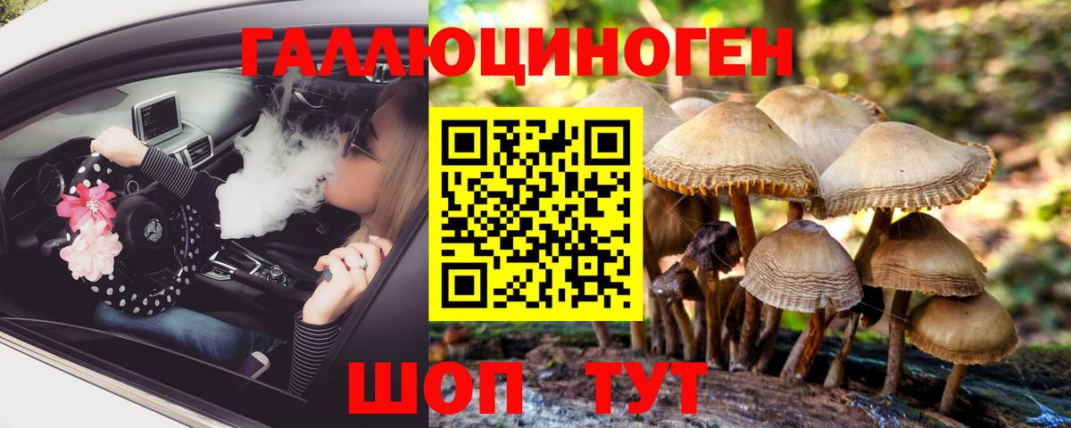 Псилоцибиновые грибы Magic Shrooms  Маркс 